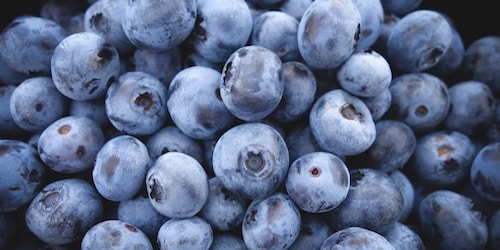 Blueberries are perfect for the fourth of July