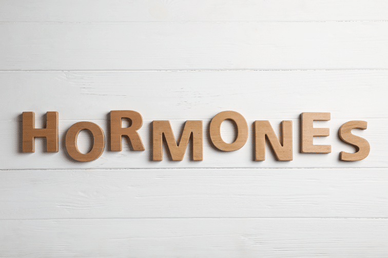 "Hormones" spelled out in block letters over white-wash wood background